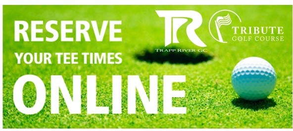  Book Online Picture for website 595 x 287